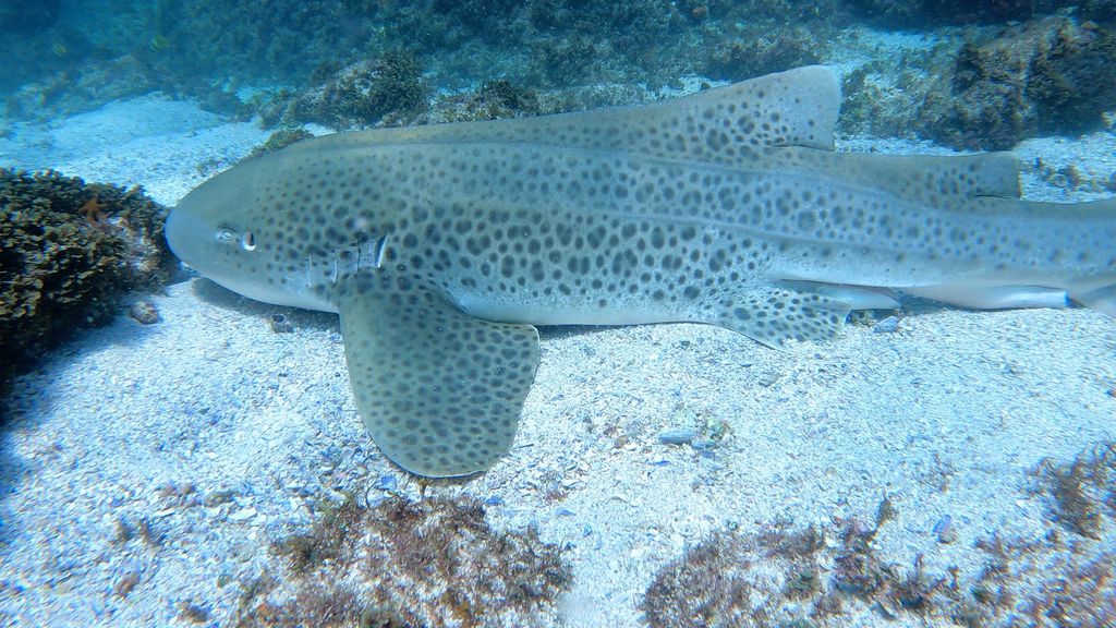 6ef545cc-4576-4782-ae25-def0f5323c5c