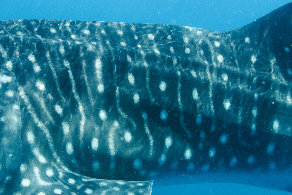 d5e11730-f43e-4eef-9cf0-a94ea950ccfb