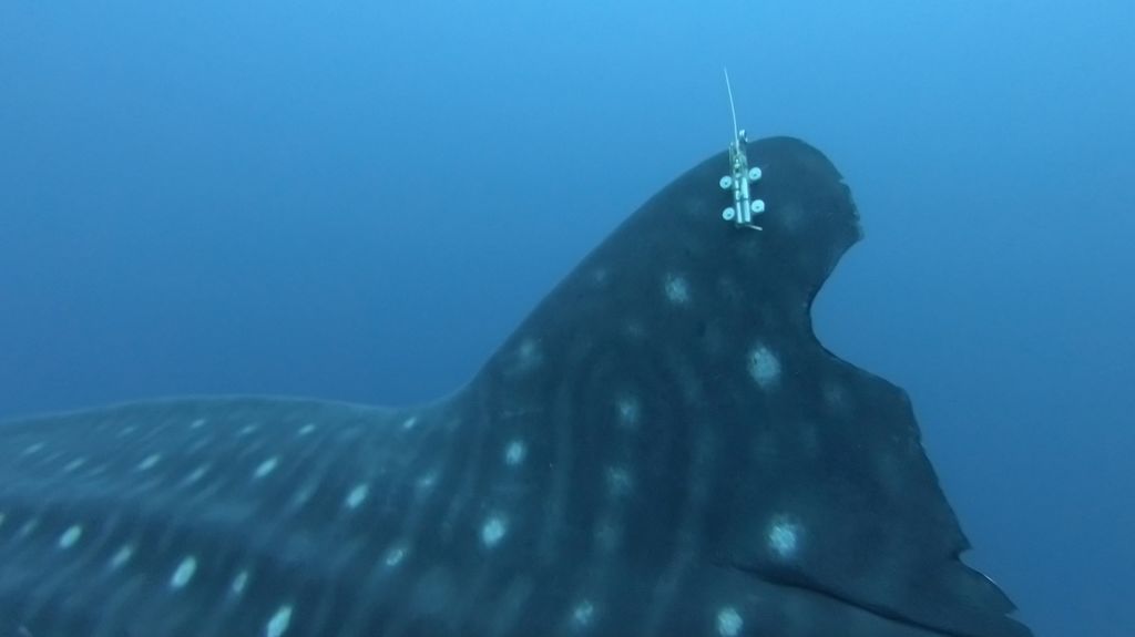 4772eb03-9aca-422b-83c8-66588c131f3d