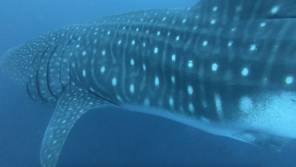 4772eb03-9aca-422b-83c8-66588c131f3d