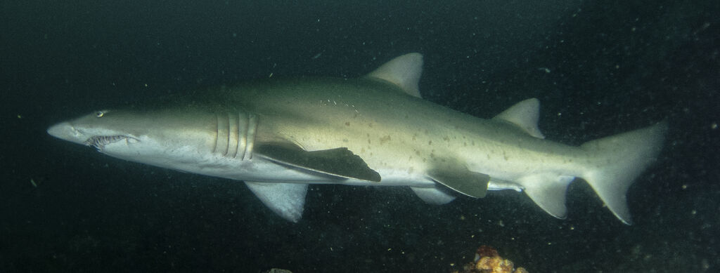 11833177-8499-4dc8-8fb1-b65fa28c4fb4