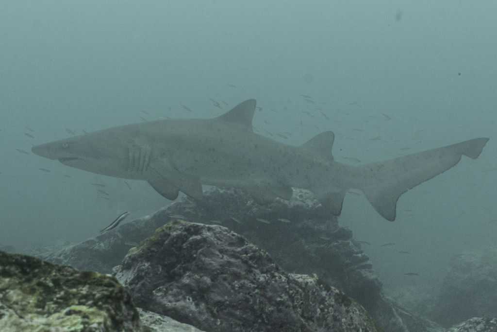 57faf047-564f-48c4-acee-a7781fb52398