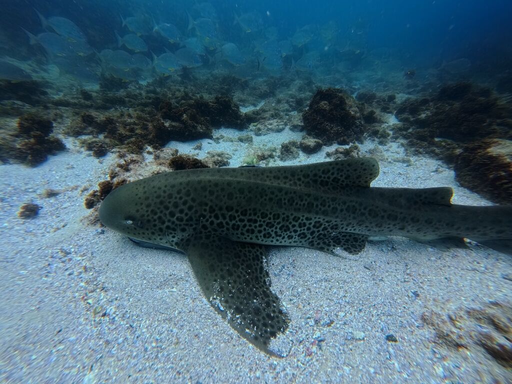 be2c2f44-b853-45d9-8800-406f11a001de