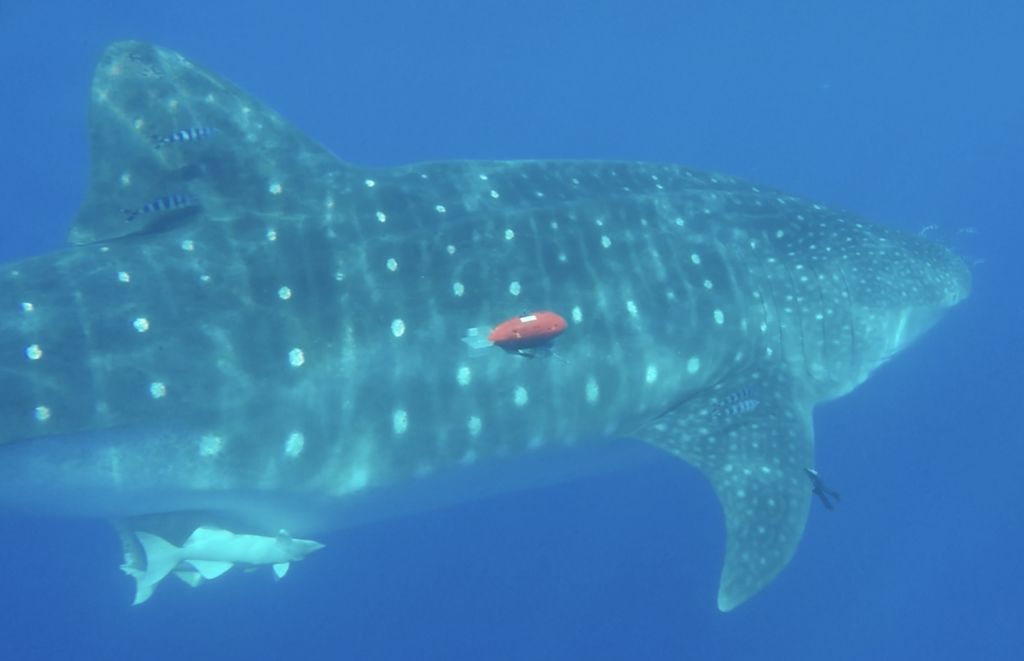 349d8508-2ac0-49a2-ac07-ba675d4ec3d8