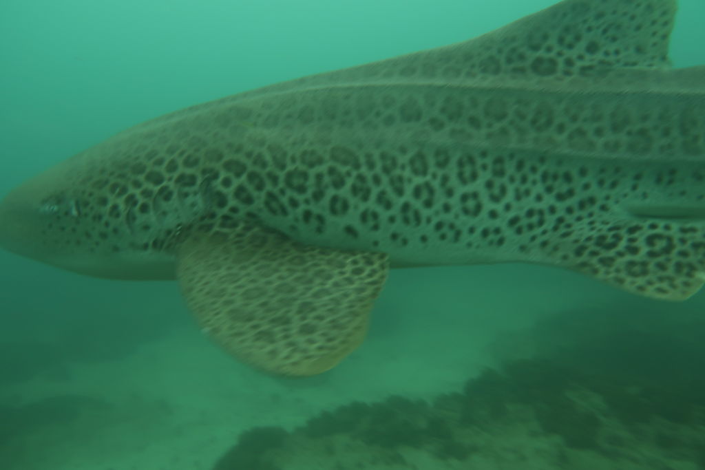 f9e10667-a551-4ca1-aa2b-fb8403cdd366