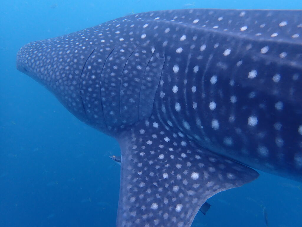 41c5f1d6-026e-45b3-9bd9-d0f8ba6ebbbf