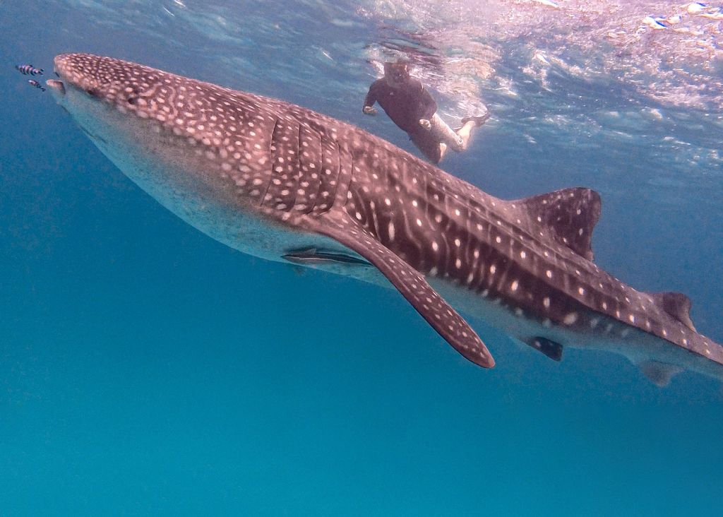 fd88d04a-93bd-4881-a93d-ceea3c6cc122