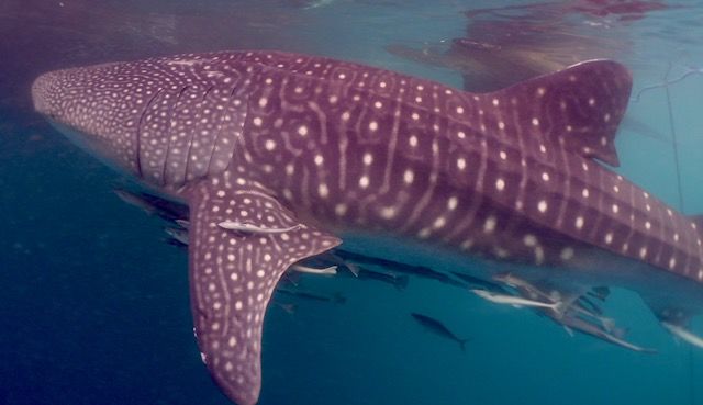 6f4c3bfc-f321-4964-a6ef-197de5e52a3f