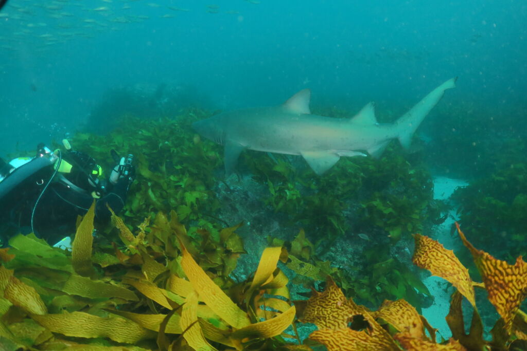 e8f4af52-bf07-42ae-b249-9ba05c0d6b36