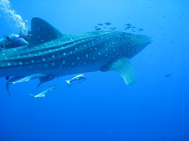 f079c741-68b8-42ea-931a-385e3c8718c7