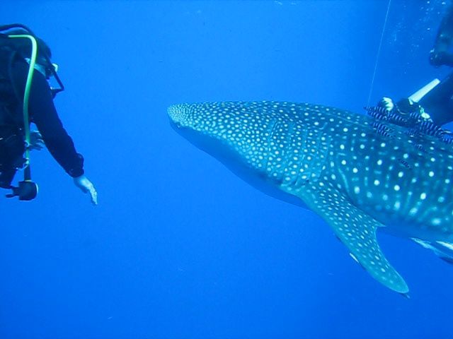 f079c741-68b8-42ea-931a-385e3c8718c7