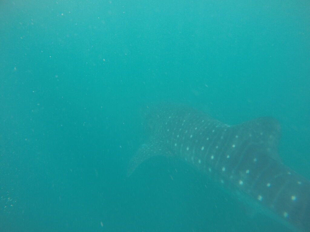 2c4f77c7-1ff4-41a2-9548-983fbb338bd4