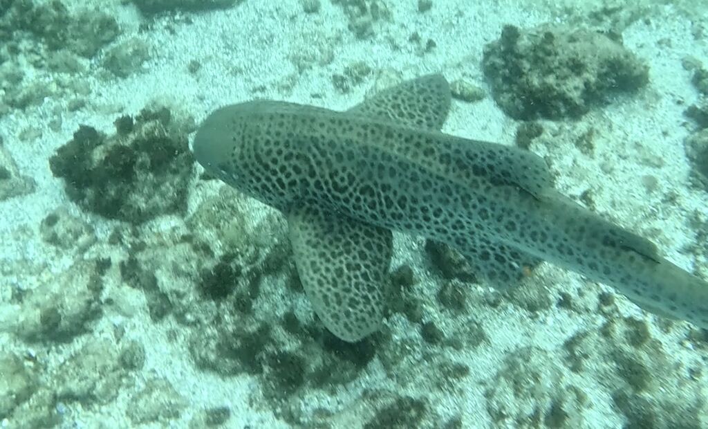 c2ca79fb-1eda-4564-9fc8-e95ecaa9609b