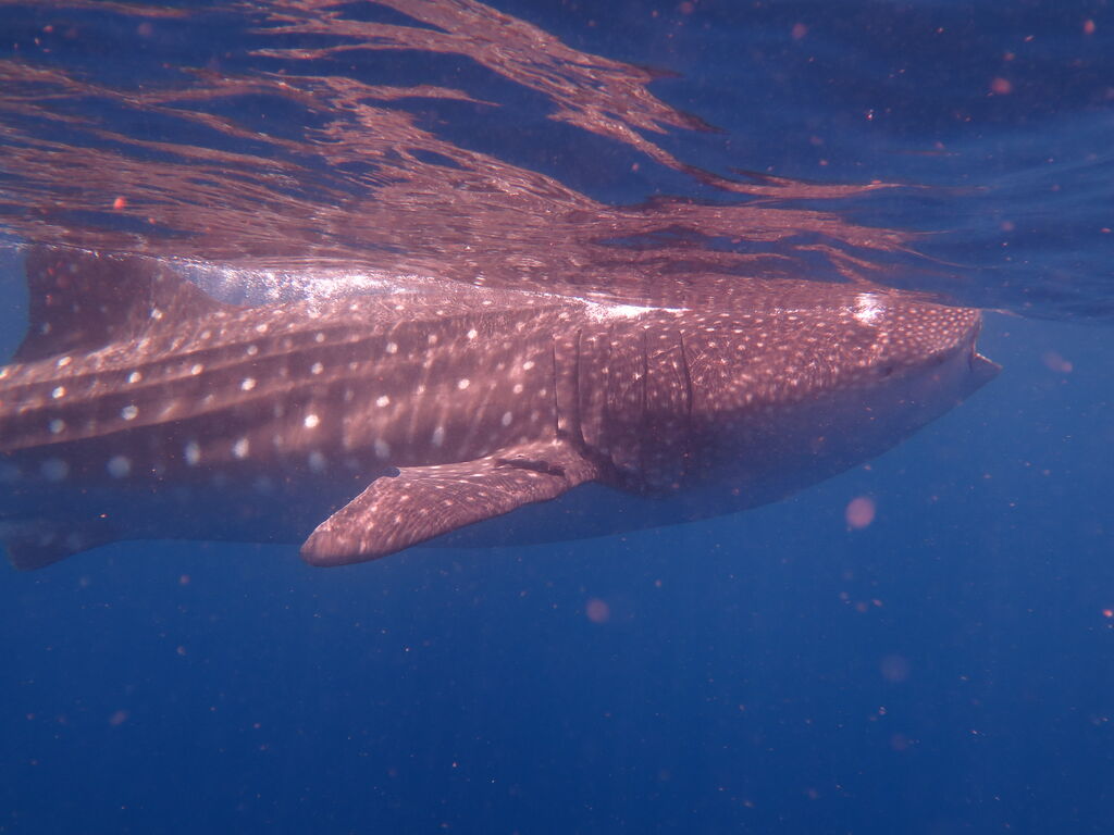 8f8bf6ef-4285-4ce5-ae13-dc8bce95d1d1