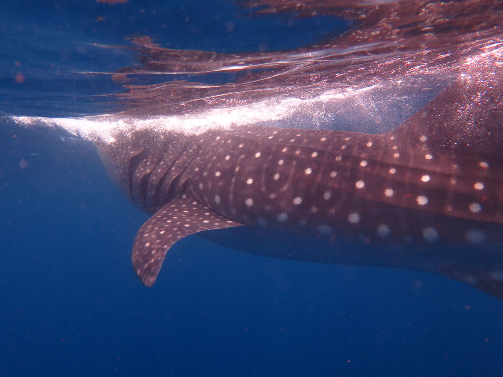 8f8bf6ef-4285-4ce5-ae13-dc8bce95d1d1