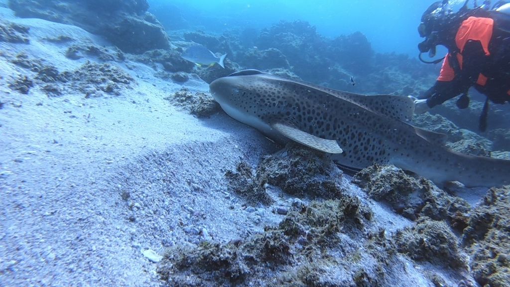 6f92311b-c7e4-4b68-8a95-267d1047ee30