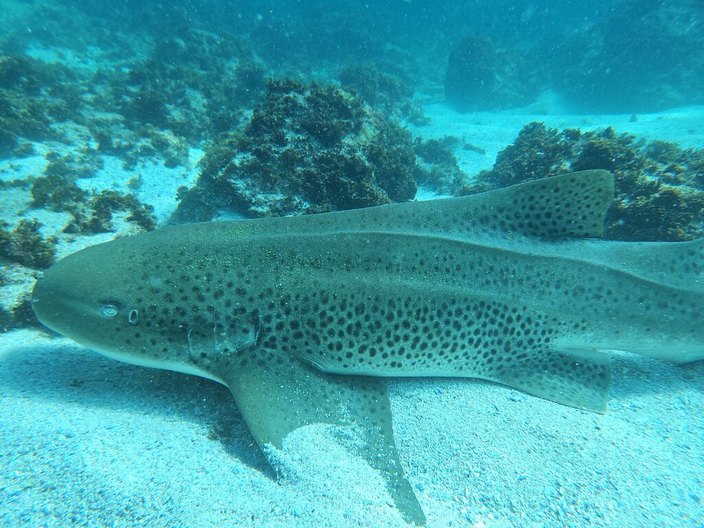 1d4ba718-9366-4672-a48a-337b716a47ca