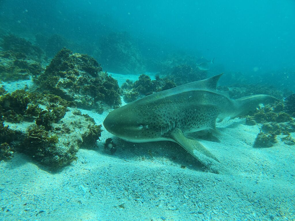 1d4ba718-9366-4672-a48a-337b716a47ca