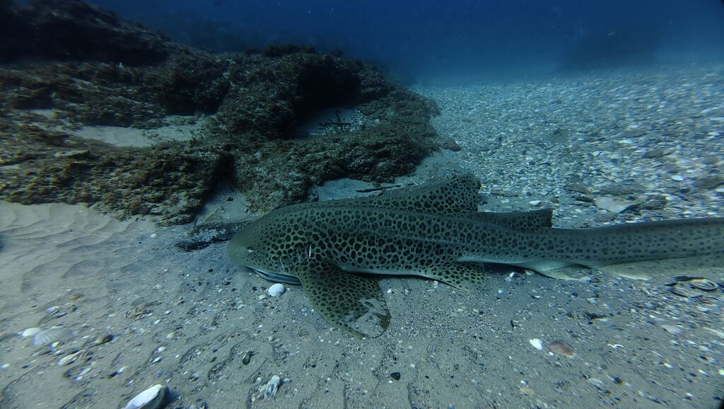 a8fbd478-8d07-47a3-9147-3ea985fbd342