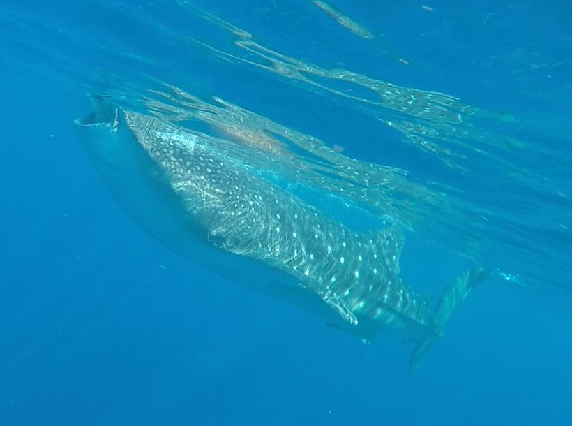 d346ca2f-0ba2-408b-84ce-6a5fdd01a1bf