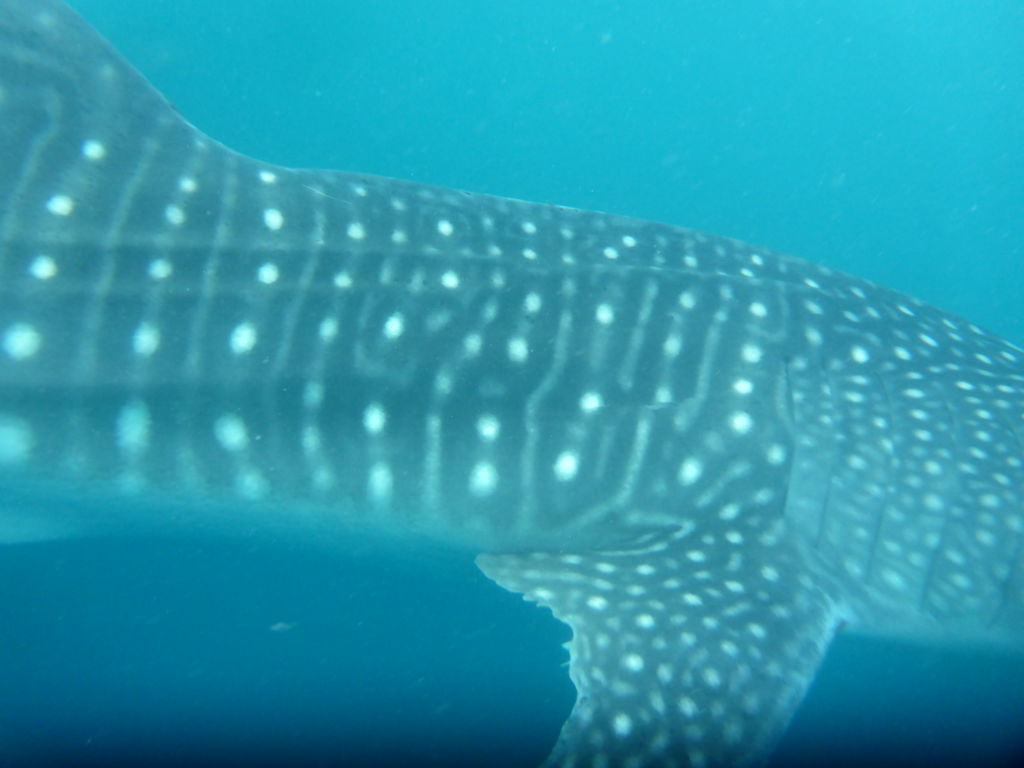 1f846318-2c16-4841-9826-85be23cd5928