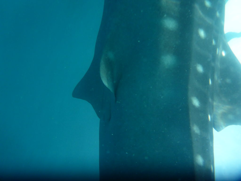 1f846318-2c16-4841-9826-85be23cd5928