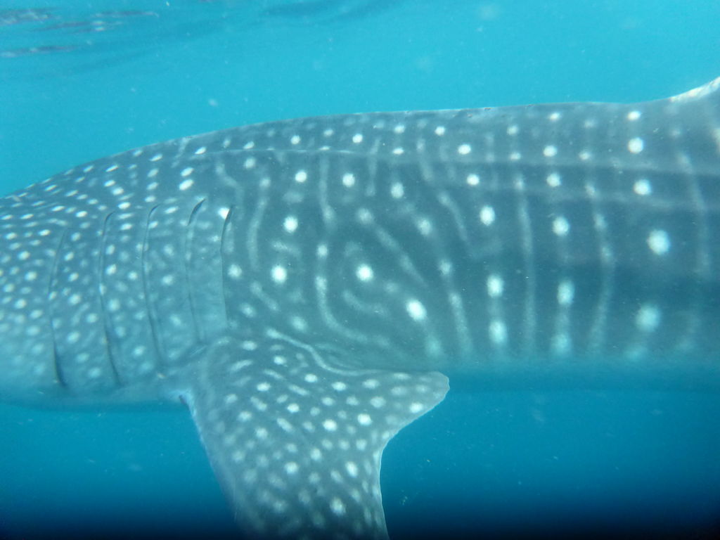 1f846318-2c16-4841-9826-85be23cd5928