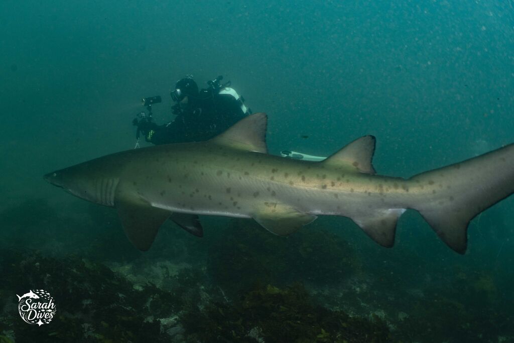 6ef87c3e-23d7-4b95-b8e2-eb48b7634623