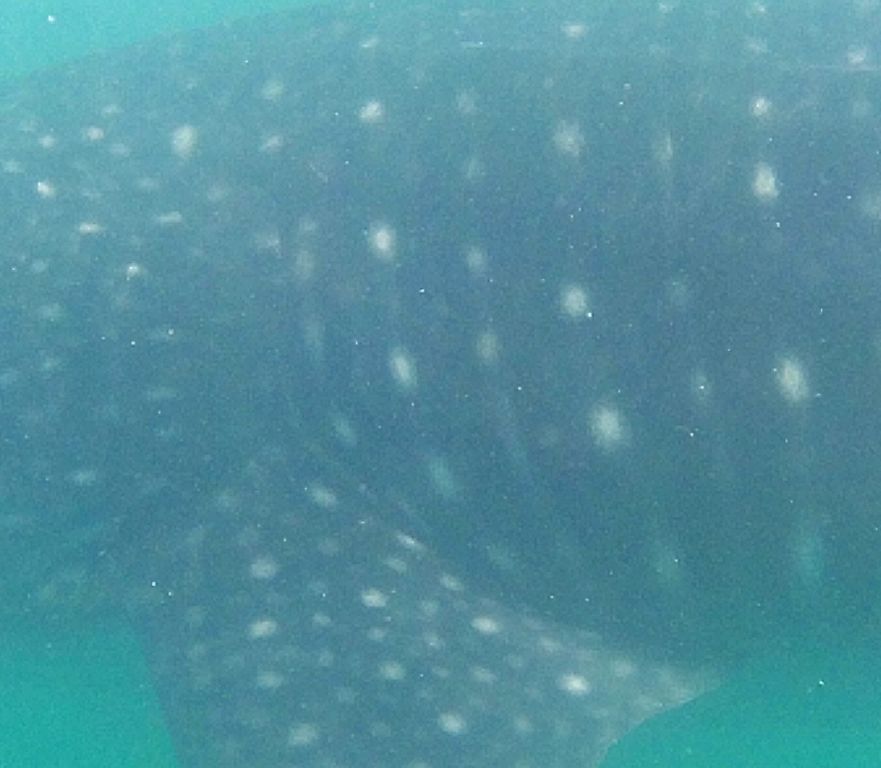 e88b27c6-e700-479b-835f-1ff671f6fb8e