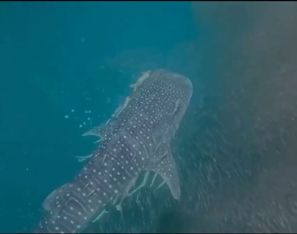 8d6db64c-9ca4-4b4f-9ff5-4885ec684eb6