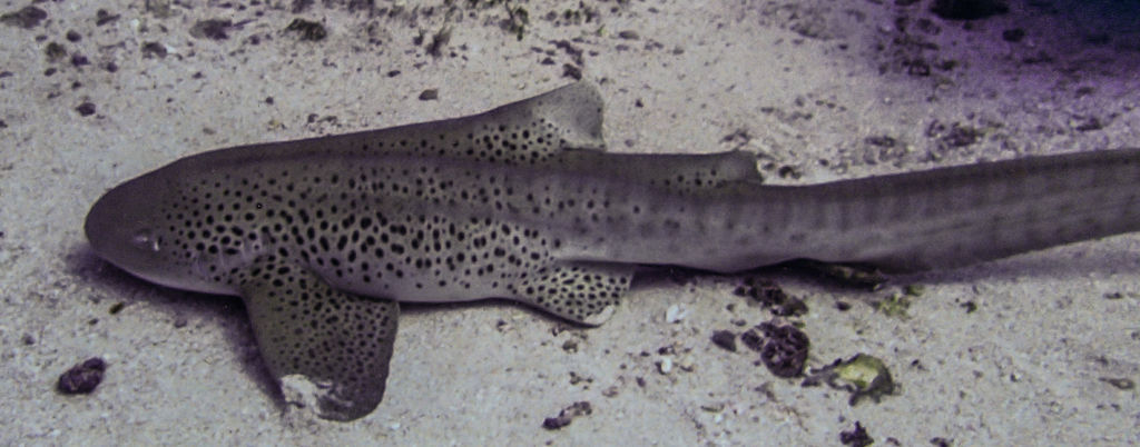 6ea7952e-b232-4ffa-834c-721d8beaad82