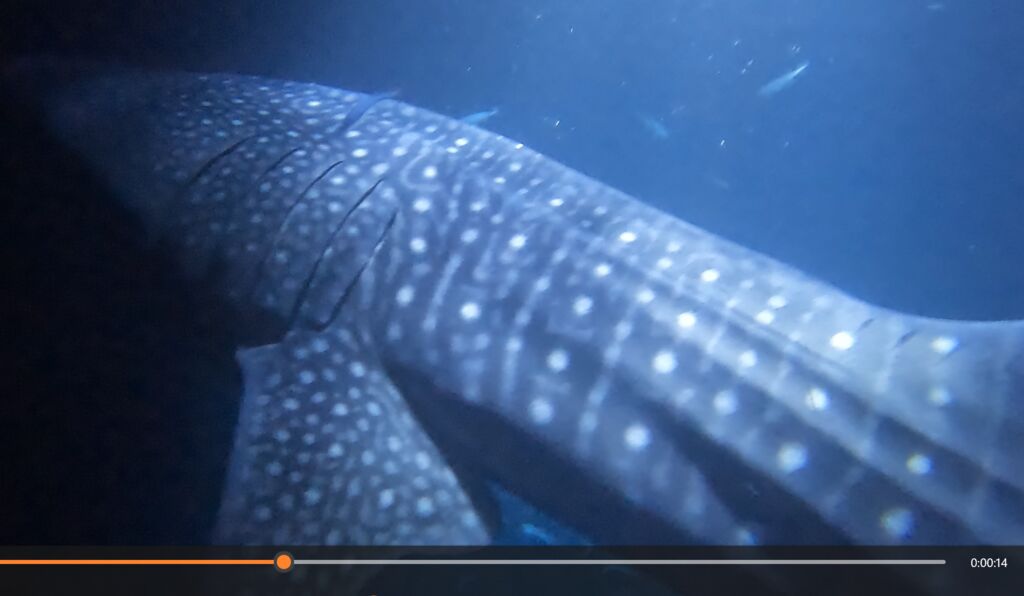 3eaf382e-8429-43ec-94c7-f279c5a73de4