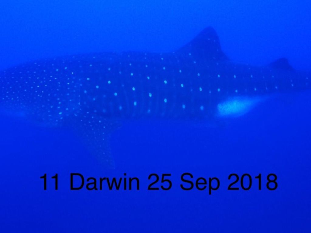 784d8843-2f57-4cfa-8e02-1705da3673b2