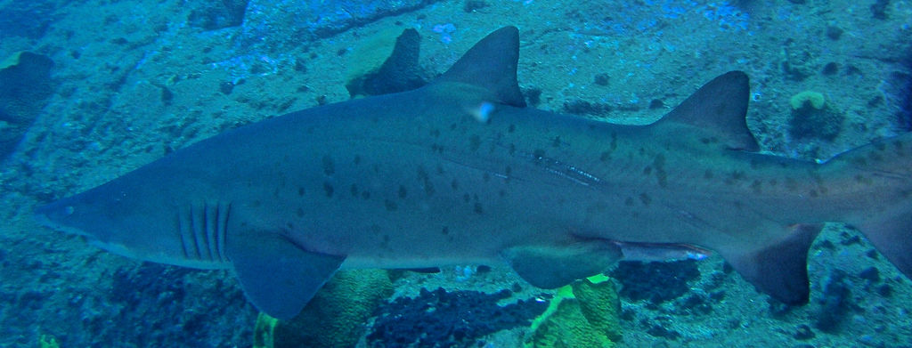 e05fb54e-4a7b-4960-8b2d-b14668b738a7