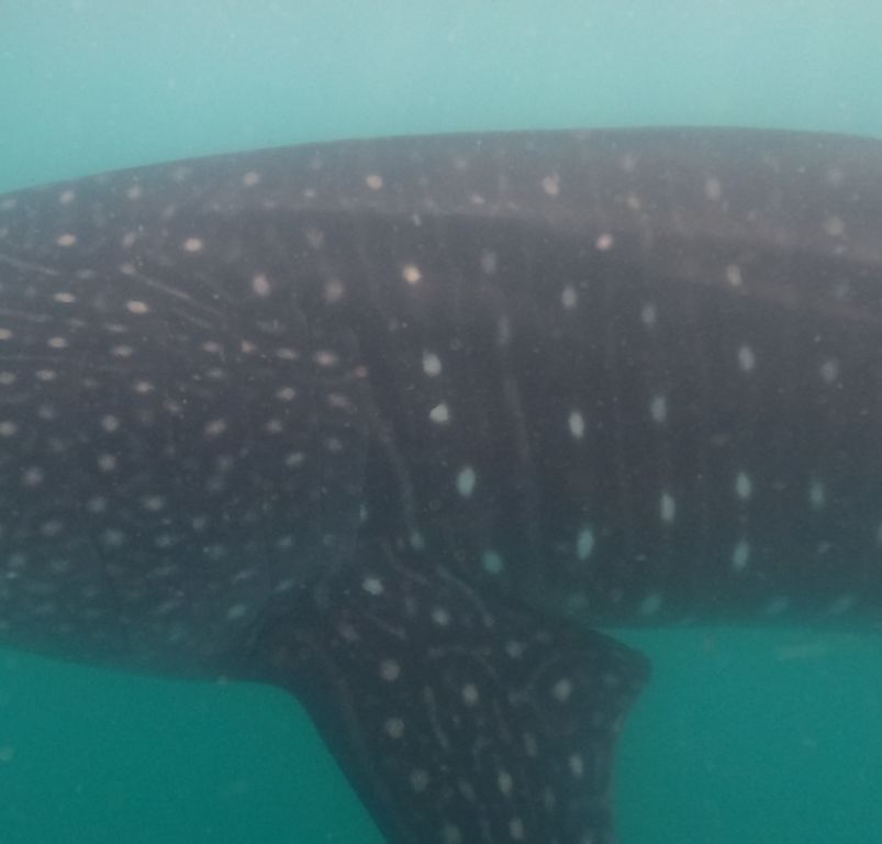 21688be9-9bf1-40e4-9e80-08201e0163b5