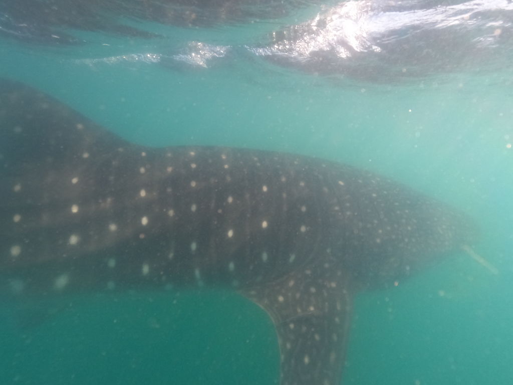 21688be9-9bf1-40e4-9e80-08201e0163b5