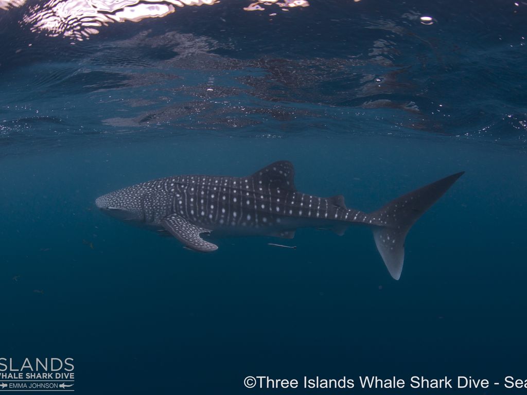 bf3a62dc-a892-414e-9870-affffd4b4d8a