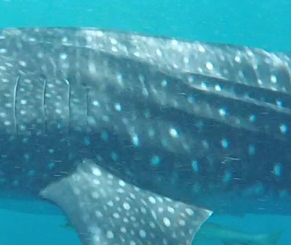 ad3a957e-d369-4b5a-b183-7dffa42f885c