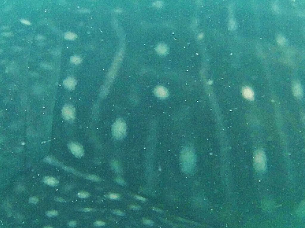 9d1e7709-cab4-418f-a3f1-a40a6d6ecce7