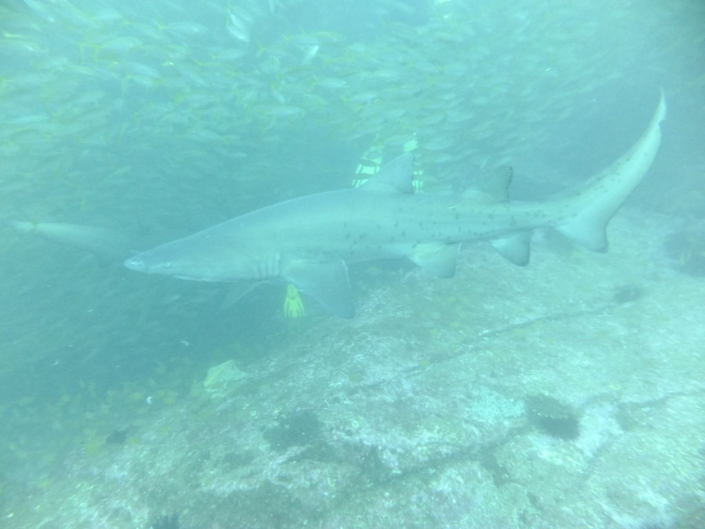 c3f6acda-0f64-459b-8dff-5a65927873de