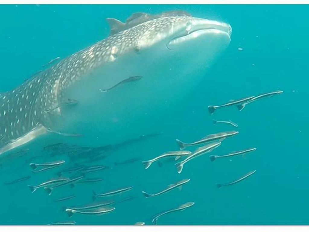 d0be3c25-fa16-46d4-a490-01682da86049