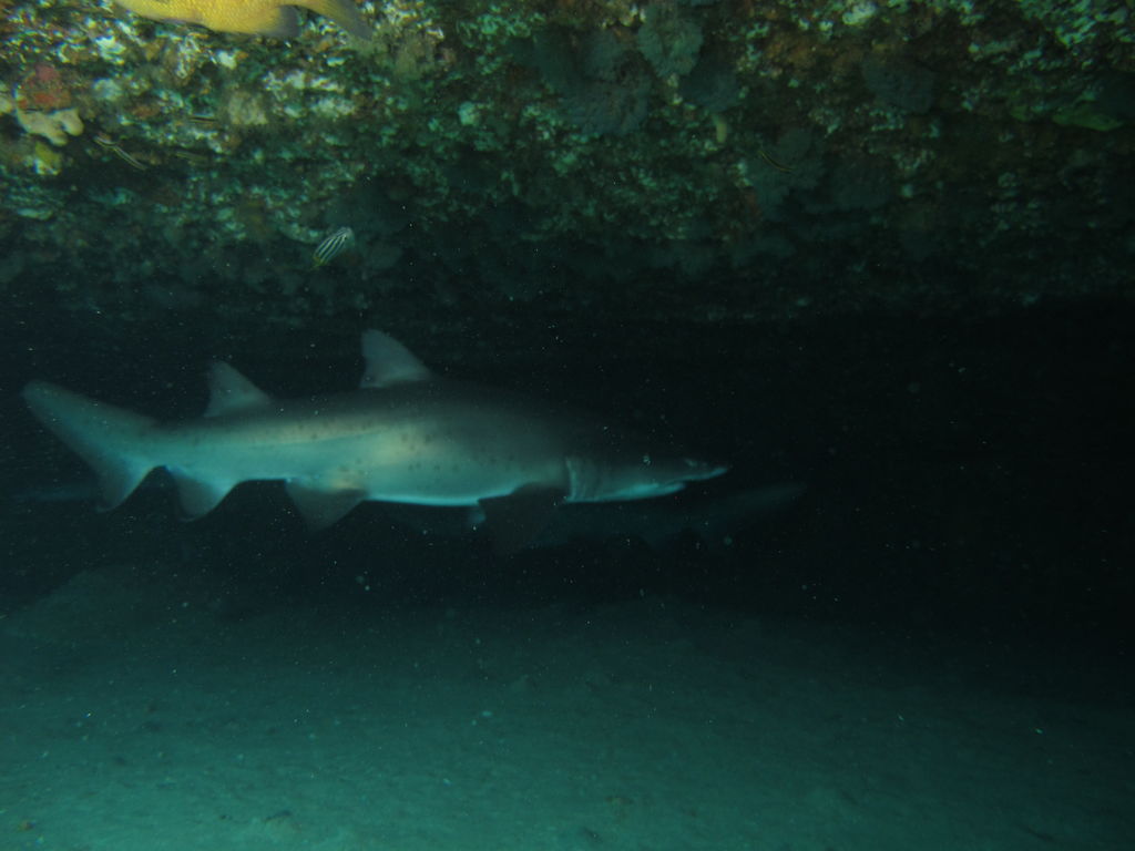 98c8cfdf-c82d-4135-8614-eafdae91e34b