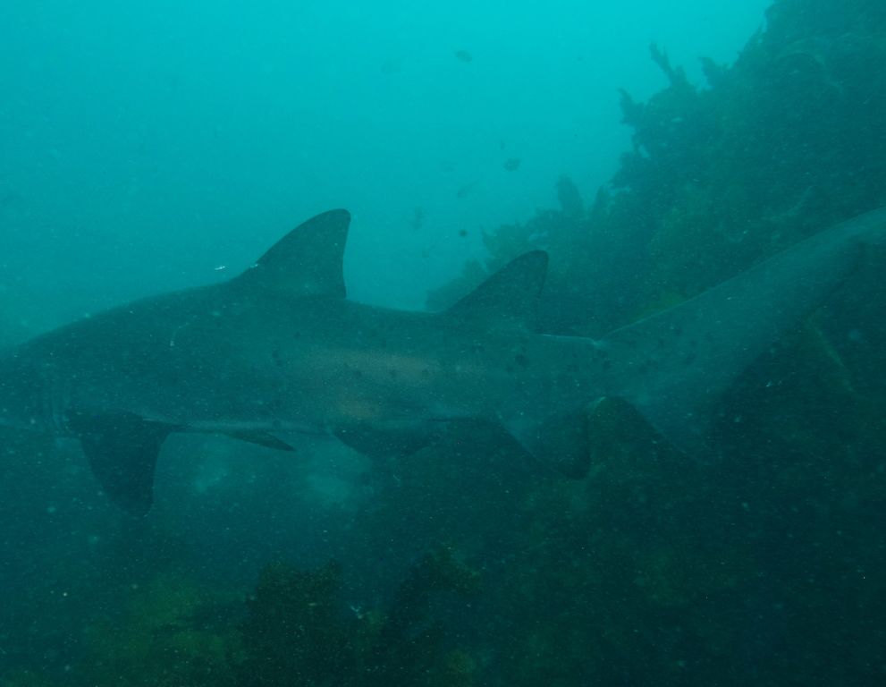 5b51f378-78a1-487f-8c6a-300b60885402