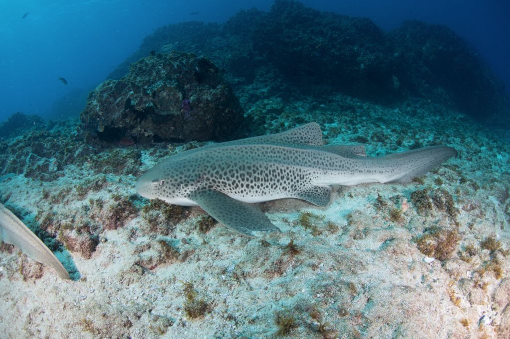 14dddda1-c4c9-4ceb-99c2-0d6f5629934e