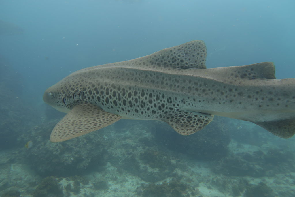 137f606e-4b5f-486a-bd64-57c123569d95