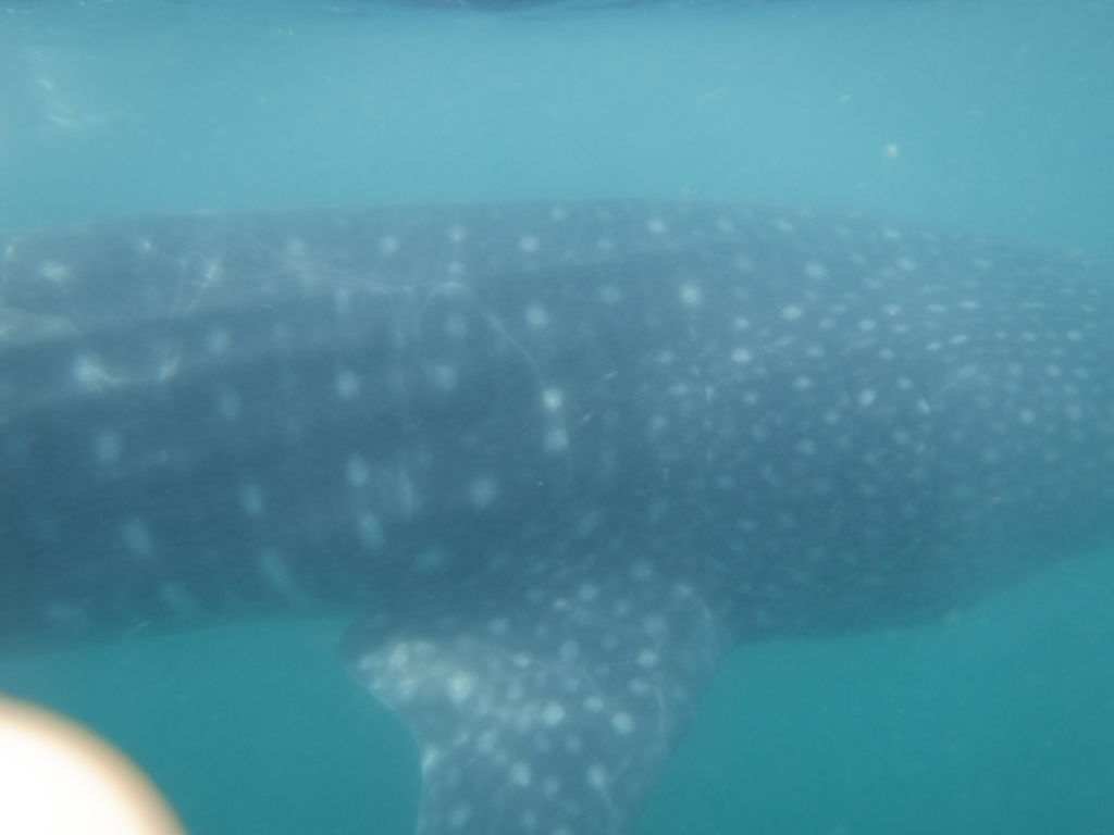 656d6d6b-a54d-4270-90a0-4e1f54d6e6ac