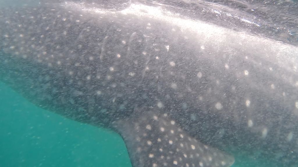 0a1bb41a-d404-4529-8c11-02f28314e9cf