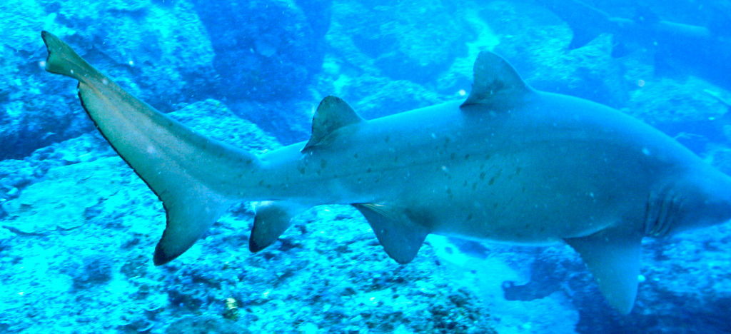 ba4ecccd-0bec-4863-9b08-4f10f95a9b70