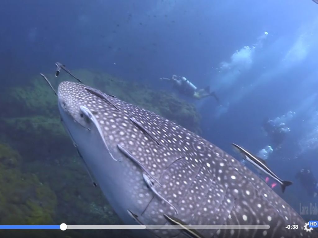 047a157a-3391-4c41-94d6-fe7ac62eea49