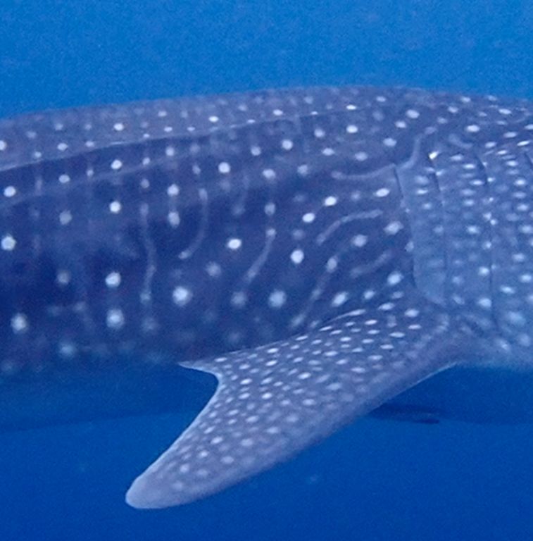 8ebf5f4a-f3ba-41b0-9495-ddba5b6392af